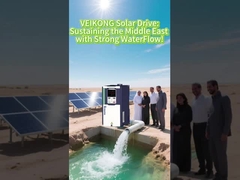 Falownik solarny GPRS Vfd IP20 380V błyszczy na Bliskim Wschodzie!